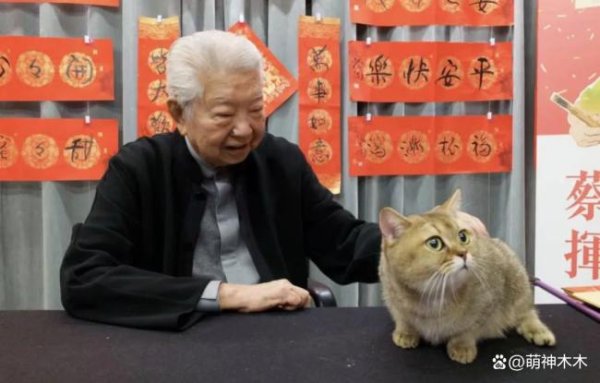 金勺子 蔡澜墓志铭想刻三个字 我活过