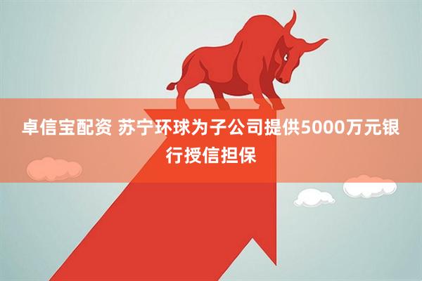 卓信宝配资 苏宁环球为子公司提供5000万元银行授信担保