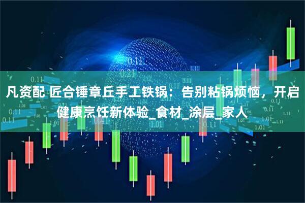 凡资配 匠合锤章丘手工铁锅：告别粘锅烦恼，开启健康烹饪新体验_食材_涂层_家人