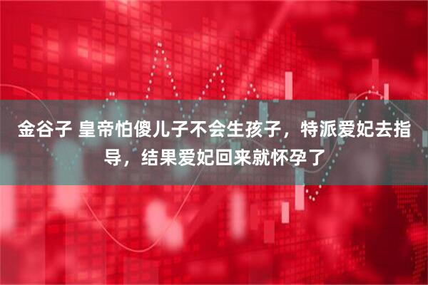 金谷子 皇帝怕傻儿子不会生孩子，特派爱妃去指导，结果爱妃回来就怀孕了